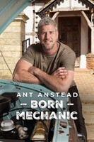 Ant Anstead: Rozený mechanik I: MG Midget