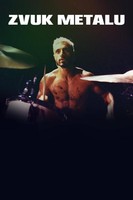 Zvuk metalu