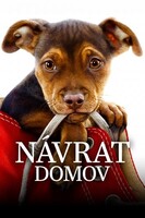 Psí domov