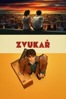 Zvukař