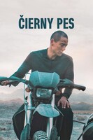 Černý pes