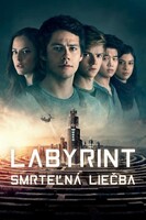 Labyrint: Vražedná léčba