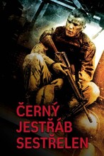 Černý jestřáb sestřelen