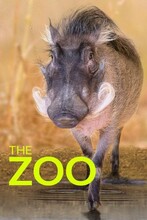 ZOO| V (12)