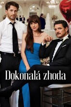 Dokonalá shoda