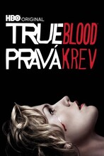 Pravá krev| VII (10)