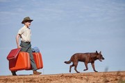 Red Dog 2