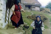 Katera