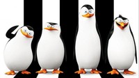 Tučniaky z Madagaskaru