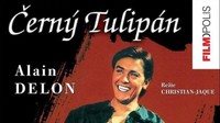 Černý tulipán