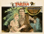 Tarzan a zlatý lev