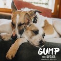 Gump: Sme dvojka