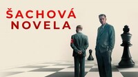 Šachová novela