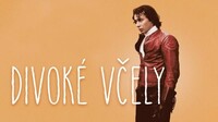 Divoké včely